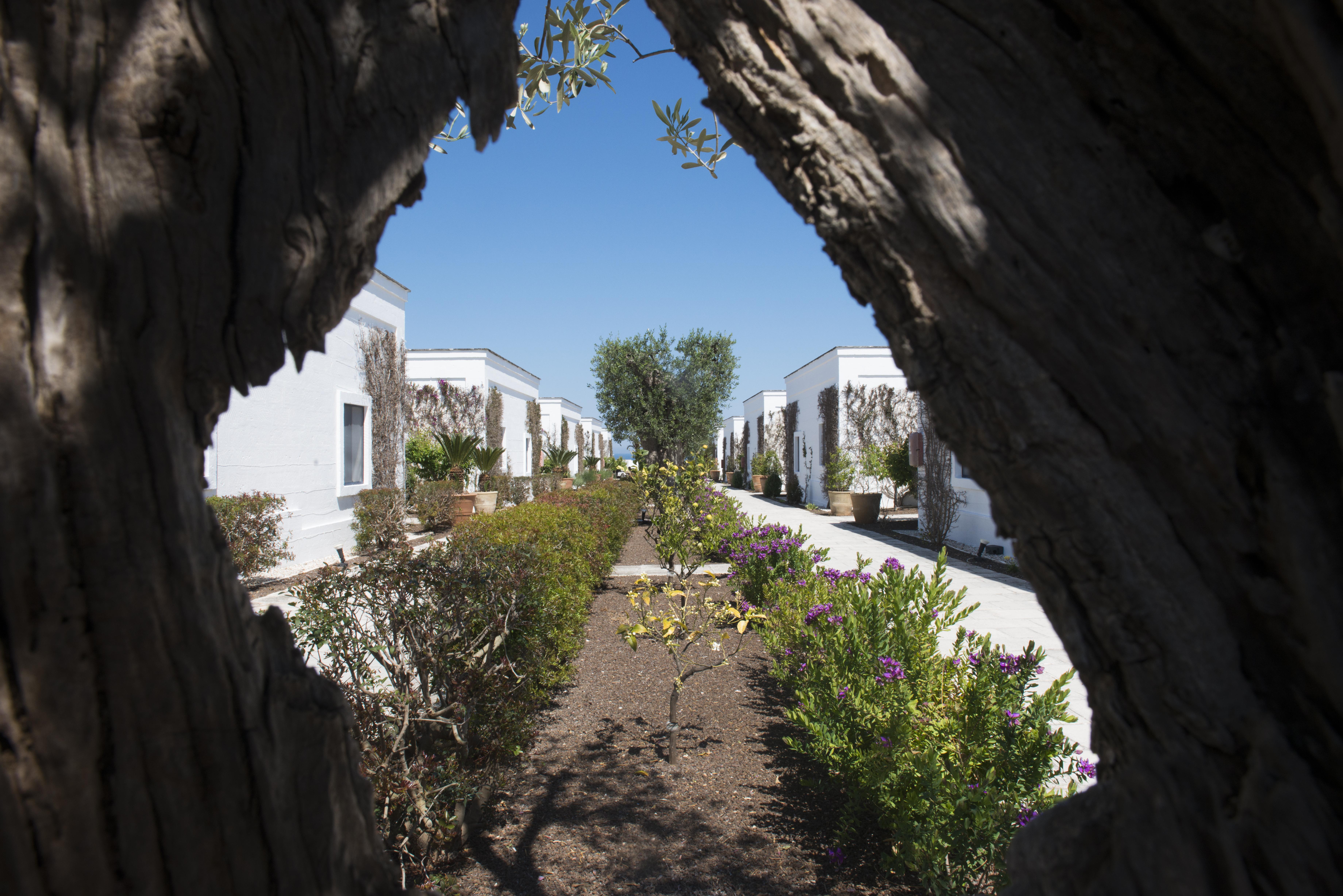 Rocco Forte Masseria Torre Maizza Savelletri Exteriér fotografie