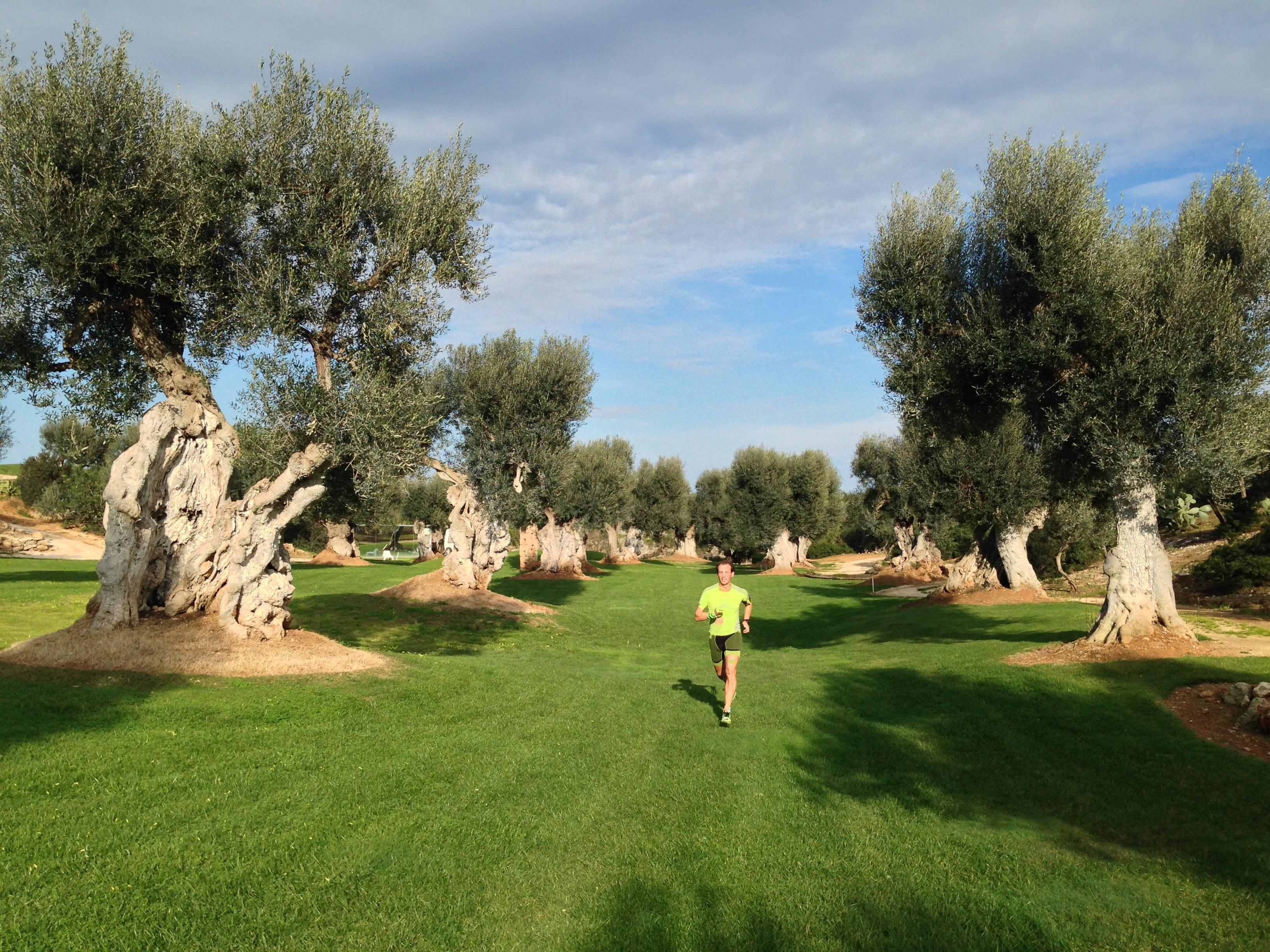 Rocco Forte Masseria Torre Maizza Savelletri Exteriér fotografie