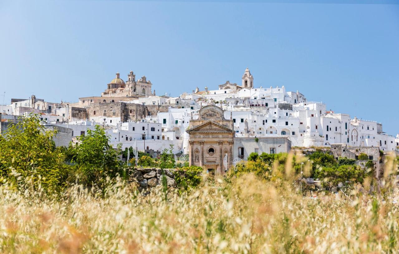 Rocco Forte Masseria Torre Maizza Savelletri Exteriér fotografie